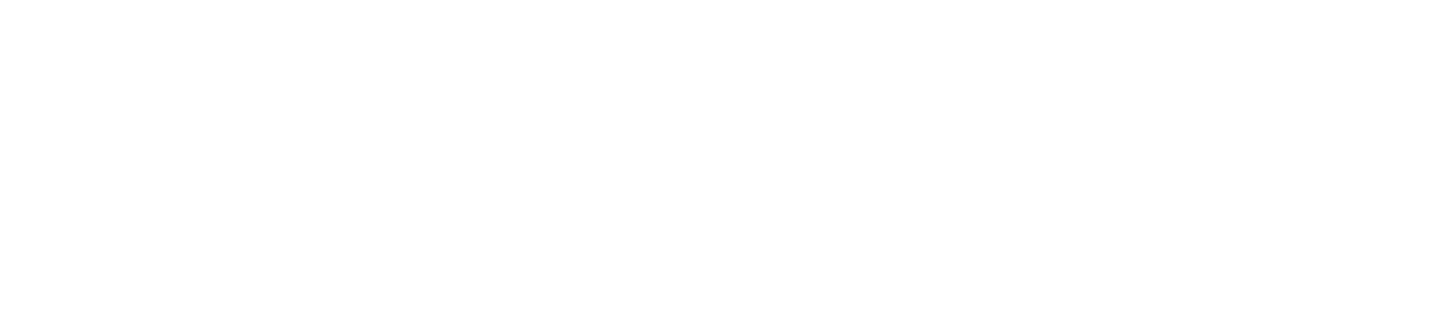 Xevalics Consulting Logo